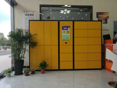 80后女企业家的钣金“神器”之路 创新与坚守的桐乡传奇